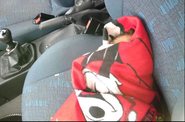 Au spart geamul mașinii să salveze un bebeluș. Polițiștii au încremenit! Ce se afla printre scutece