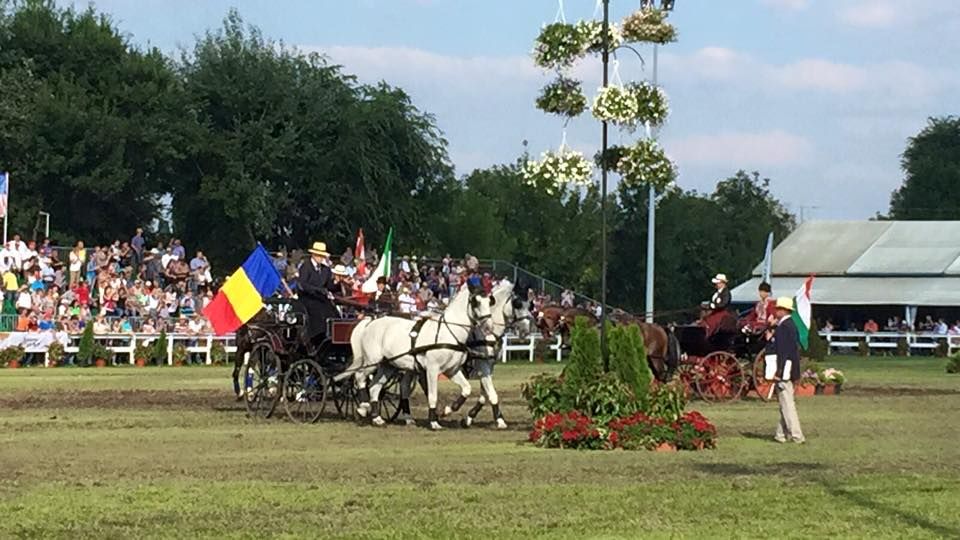 Performanţă neobişnuită. România, locul 5 la Campionatul Mondial de Atelaje