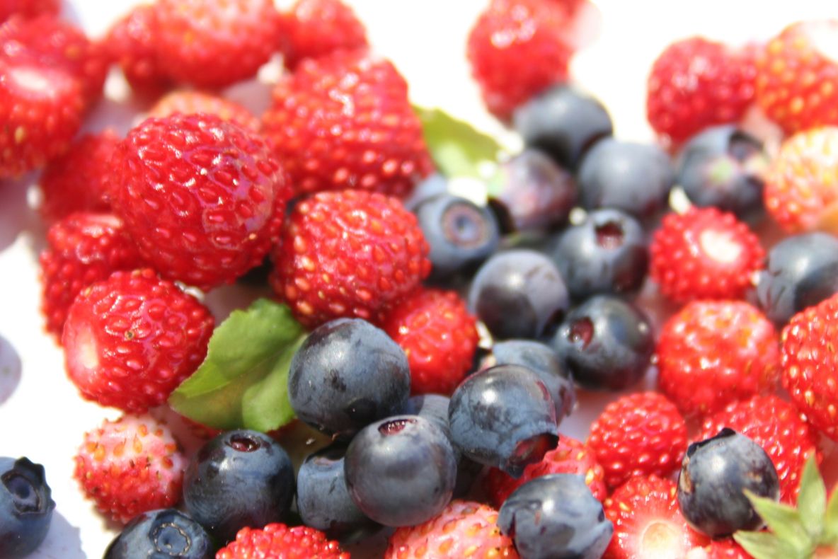 Efectele terapeutice ale ceaiurilor din fructe de pădure