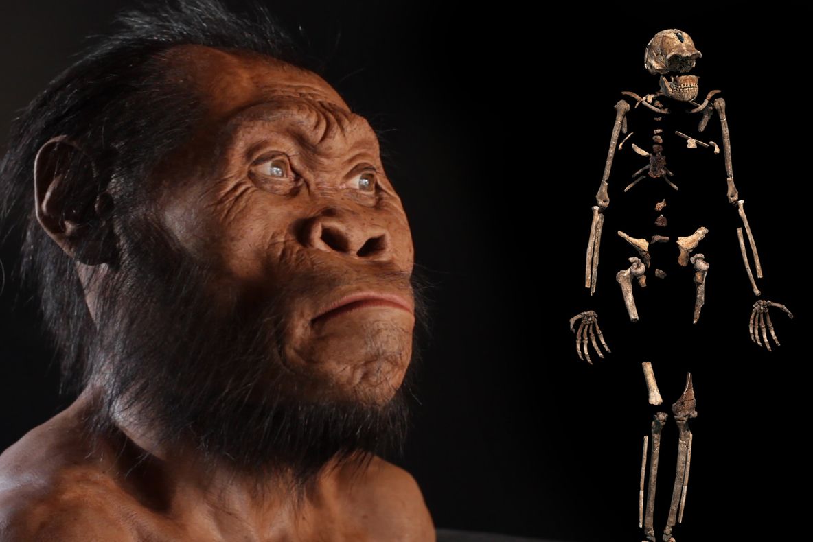Homo naledi spulberă teoria extratereştrilor antici! O descoperire fabuloasă face senzaţie!