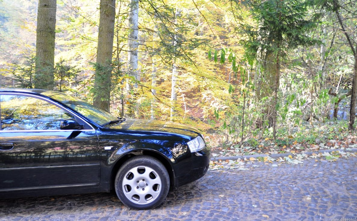 A vrut să se relaxeze, aşa că a tras pe dreapta şi a intrat în pădure. Ce s-a întâmplat apoi