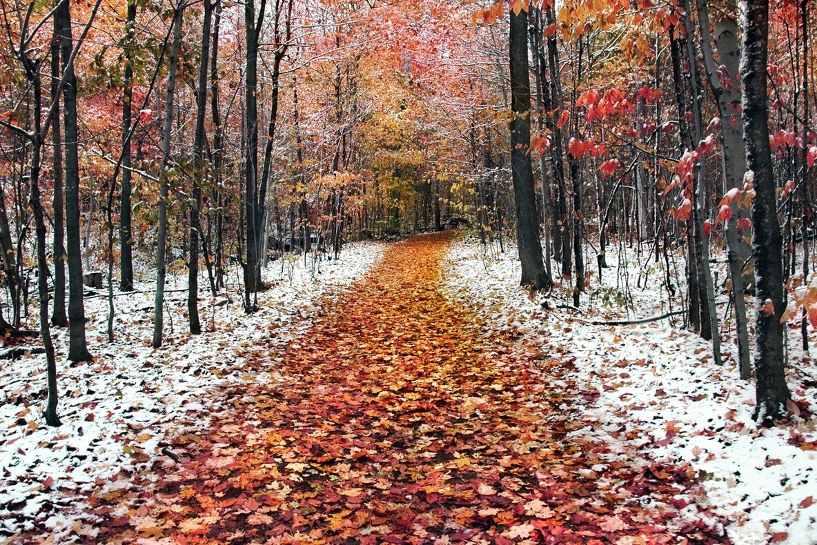 Prognoza meteo pentru lunile octombrie, noiembrie şi decembrie. Ce vreme ne aşteaptă de sărbători