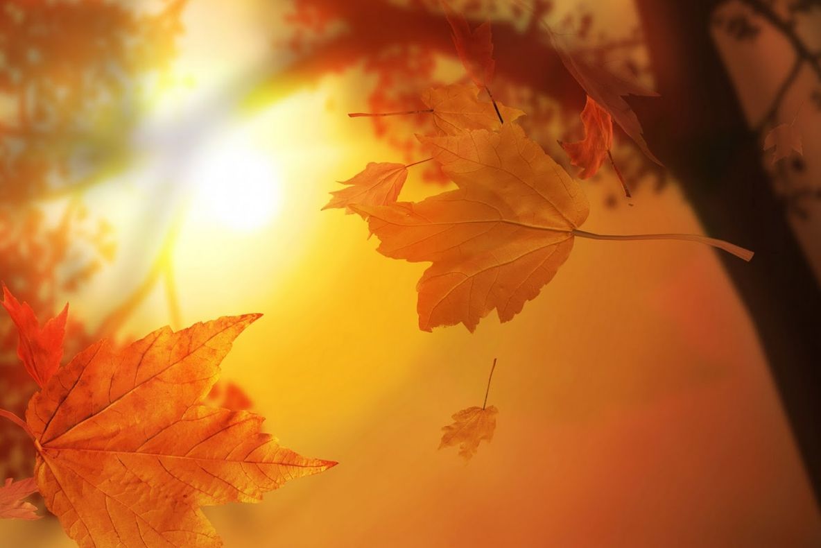 Vreme plină de surprize. Prognoza meteo pe trei zile 