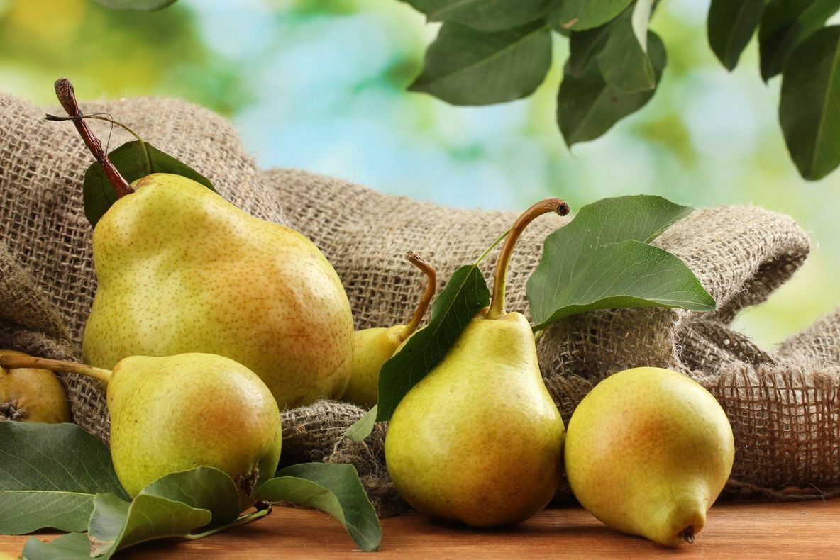 Iată de ce este bine să mănânci o pară în fiecare zi