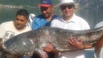 "Monstrul" prins de un român în Clisura Dunării. Are doi metri și 90 de kilograme