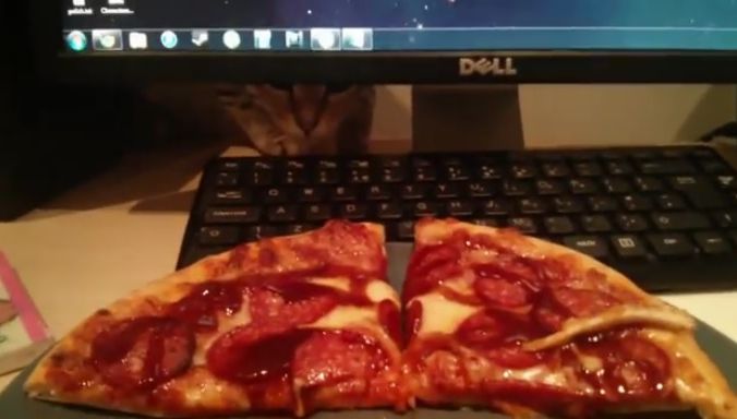 Cea mai pofticioasă pisică din lume. Cum a furat o felie de pizza chiar de sub nasul stăpânilor 