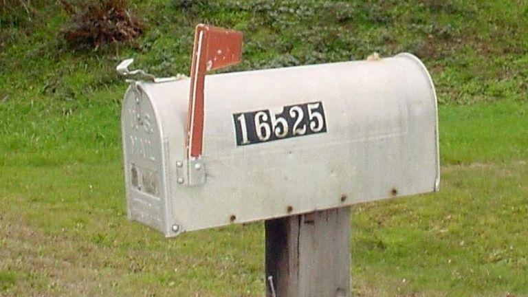 Înspăimântător. A deschis un pachet primit prin poștă. Ce a găsit înăuntru întrece imaginația