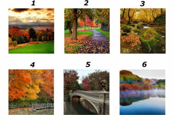 TEST: Alege una dintre imagini şi vei afla ce se întâmplă în viaţa ta, în această toamnă