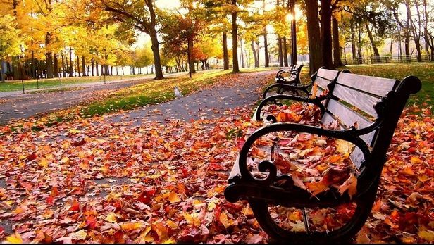 Vremea se menţine rece! Meteo pe trei zile 