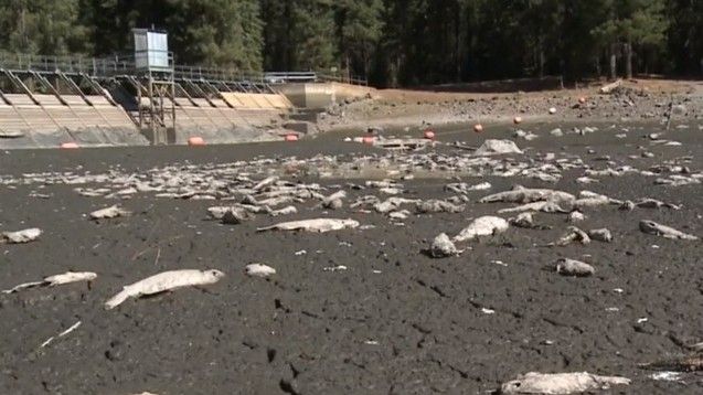 Fenomenul înspăimântător petrecut peste noapte. S-au trezit dimineață și au văzut asta