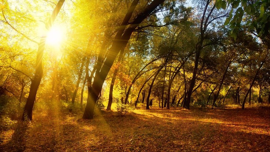 Prognoza meteo pentru 20 decembrie. Vreme surprinzător de caldă pentru această perioadă