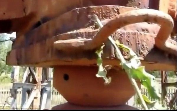 Au atins o antenă de 50.000 de Wați cu un fir de iarbă. Ce a urmat i-a lăsat fără cuvinte