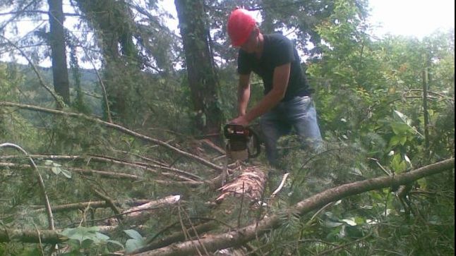 Tăietorii de lemne, percheziționați de DIICOT. Un cetățean turc și fiul său, liderii grupării