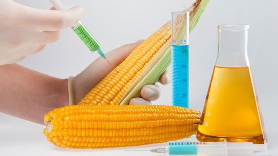 Le mănânci aproape zilnic. Cele mai periculoase E-uri din alimente