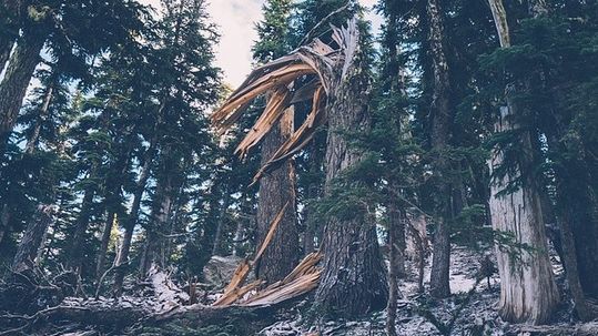 Aparat de zbor de mici dimensiuni, prabuşit în judeţul Vaslui