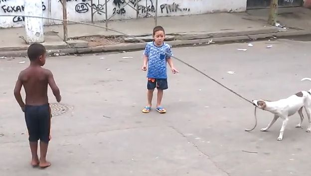 "Mingiuţă", câinele care participă la toate jocurile copiilor din cartier. Imaginile sunt amuzante