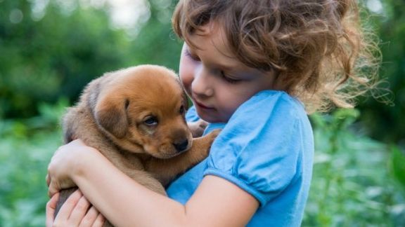 Doi copii s-au certat din pricina unui câine. E şocant cum a reacţionat unul dintre ei