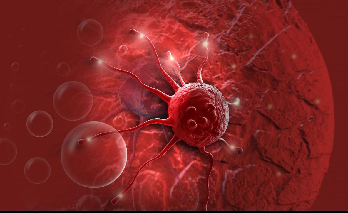 Nimeni nu-i acordă importanță, însă această legumă ar putea fi un leac pentru cancer