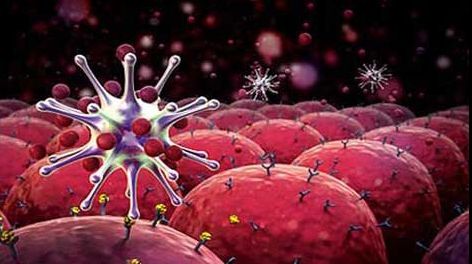 S-a descoperit cauza apariţiei celor mai multe boli. Este o greşeală pe care o facem zilnic