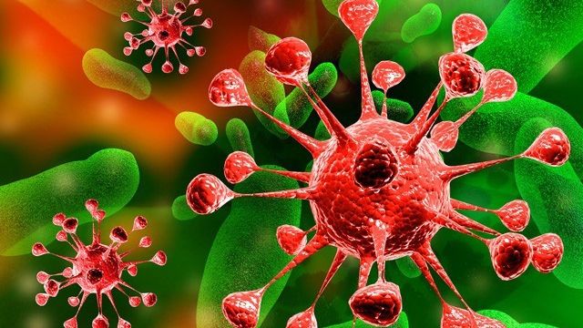 Semințele magice care te vindecă de cancerul la colon. Fac minuni împotriva mai multor boli