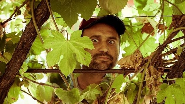 Stela Popescu, apariție de senzație în serialul „Las Fierbinți”. Celentano e șocat