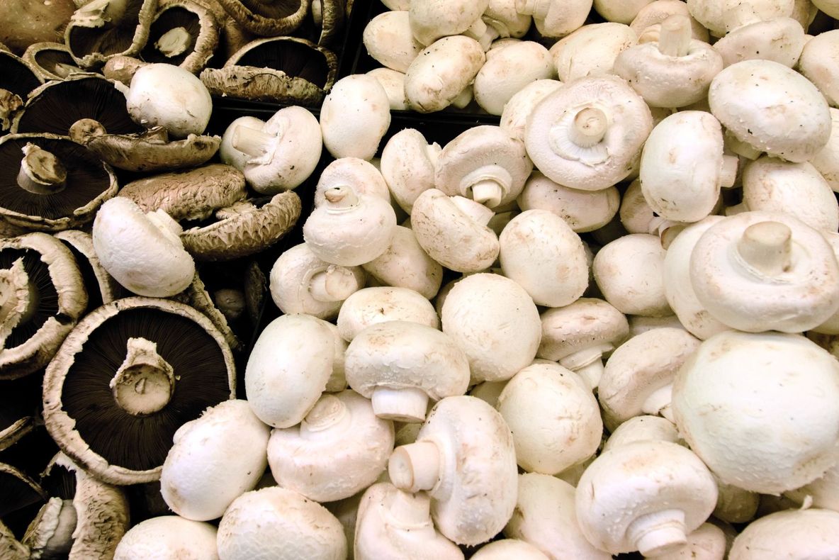 4 motive pentru a mânâncă mai multe ciuperci