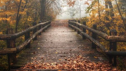 Vor fi ploi trecătoare! Prognoza meteo pe următoarele 3 zile