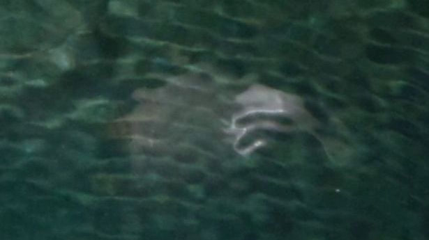 Au făcut o poză în excursie, dar când s-au uitat la ea au încremenit. Ce apăruse în spatele lor 