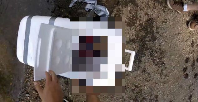 Au văzut o cutie frigorifică ce plutea pe râu. Au deschis-o și au înghețat de groază. Ce era în ea