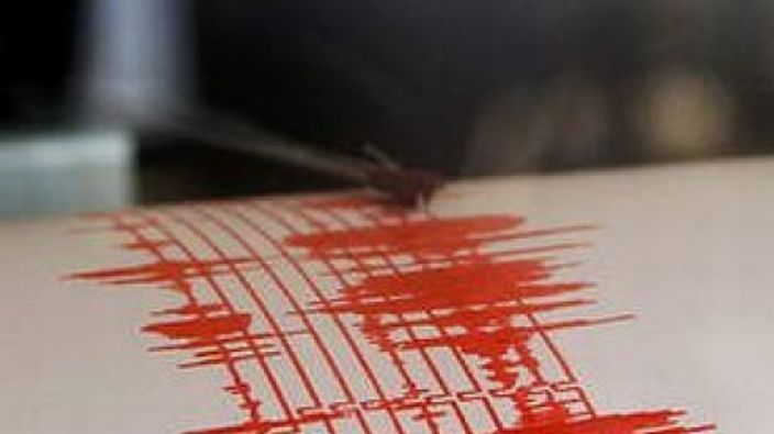 Cutremur în Buzău. Câte grade a avut