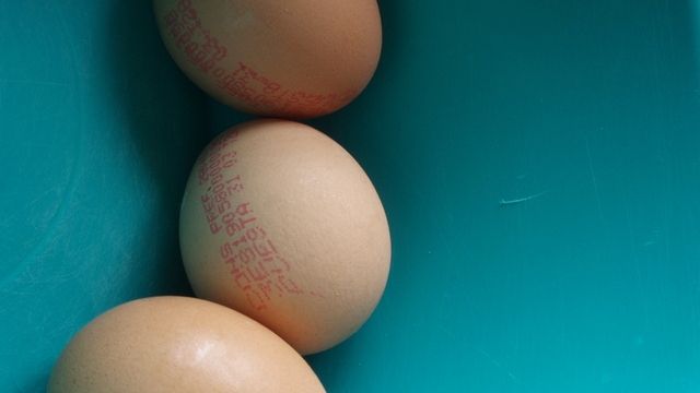 Când expiră de fapt ouăle, brânza, laptele și carnea. Tot ce ai știut până acum este greșit