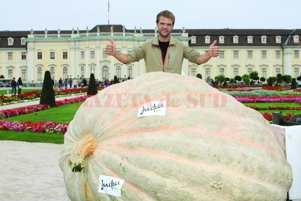 Regele bostanilor: cum a reuşit un tânăr să crească un dovleac de 750 de kg