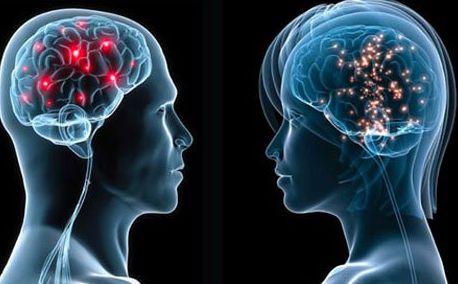 Descoperire. Creierul bărbaților conține neuroni programați să caute sex