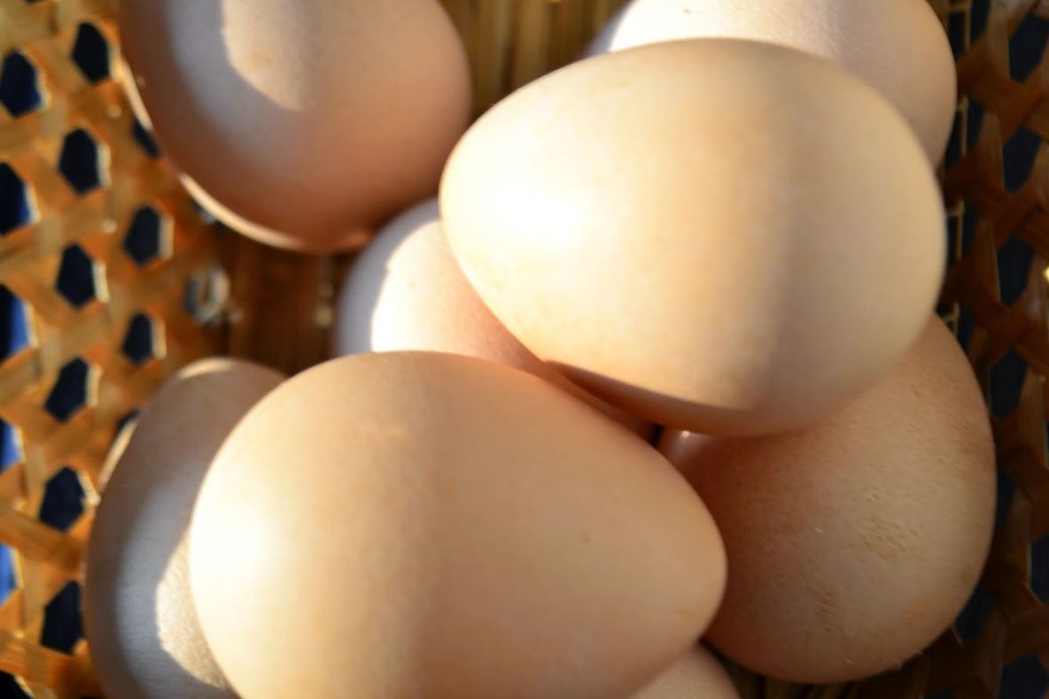 Ouăle de găină,sursa ta zilnică de energie