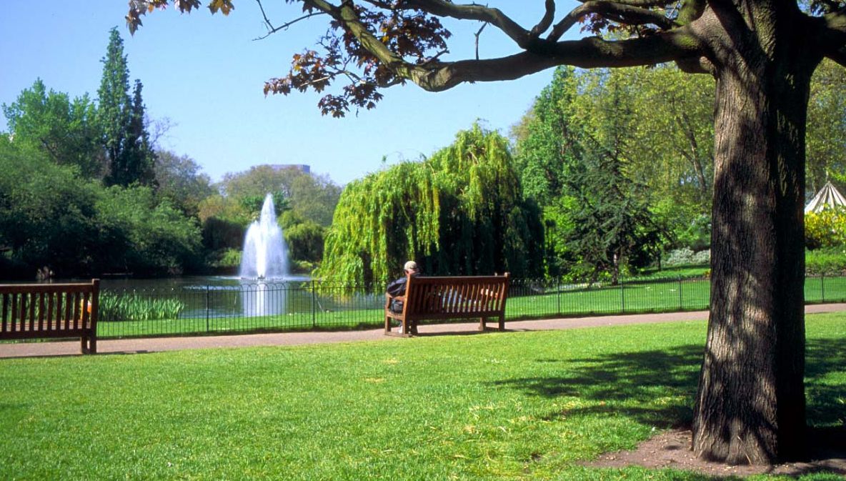 E incredibil cum arată cel mai mic parc din lume. Lumea nici nu-l observă