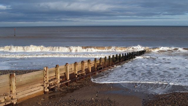 Îşi plimba câinele pe plajă când a observat ceva ciudat. "Avea nişte dinţi fantastici"