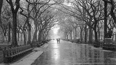 Temperaturile se prăbușesc la limita înghețului. Prognoza meteo pentru două săptămâni