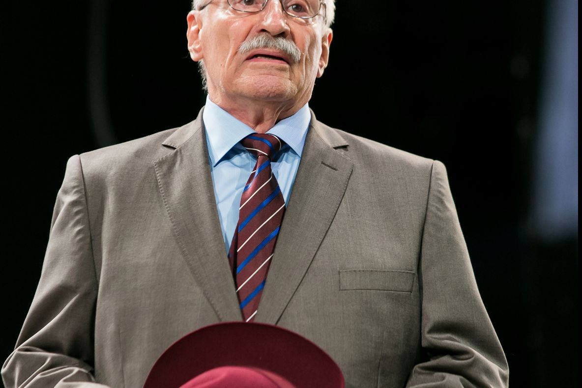 O nouă premieră la Teatrul Bulandra: Rața sălbatică, de Henrik Ibsen, în regia lui Peter Kerek