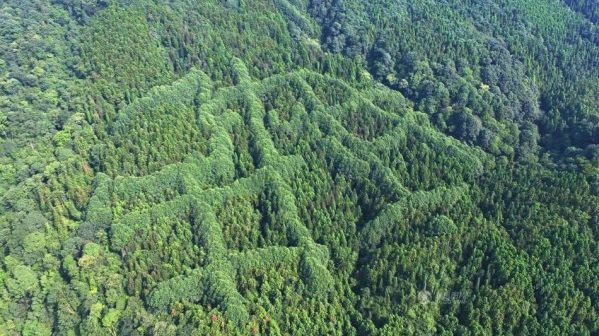 Un semn misterios anunță ce e mai rău. A apărut într-o pădure din China și se vede din satelit