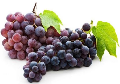 Fructele toamnei, strugurii. Cum să-i cumperi, cum să-i păstrezi 