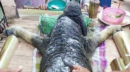 Descoperire ca în filmele SF. Cum arată creatura bizară găsită de un grup de săteni