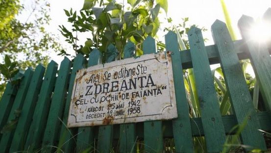 Povestea lui Zdreanţă, cel cu ochii de faianţă. Cum arăta câinele lui Arghezi şi unde este îngropat