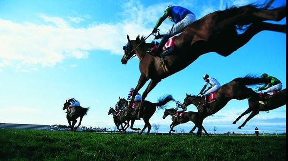 Un bancher s-a îmbogățit vânzând "mârțoage" în loc de cai de curse