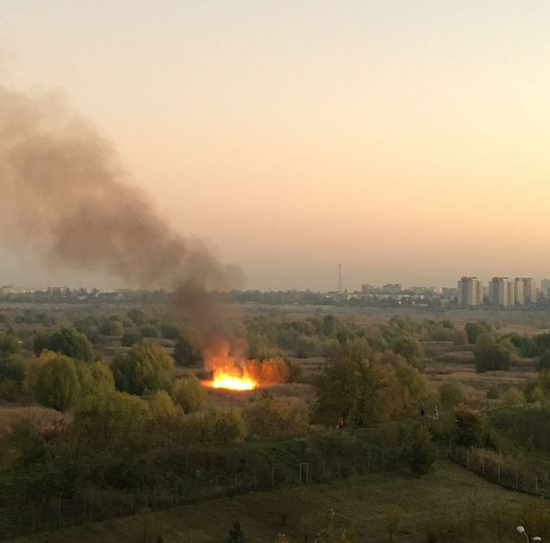 Incendiu puternic pe delta Văcăreşti