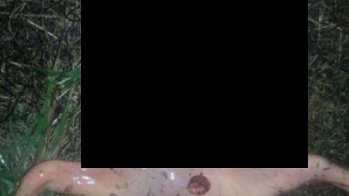 Legătura dintre "extraterestrul" găsit mort în San Jose şi testele cu rachete făcute de americani 