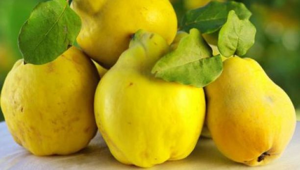 Leacuri naturale cu gutui: vindecă pancreatita, calmează tusea şi te scapă de durerile articulare