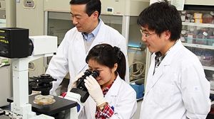  Cercetătorii japonezi au dezvoltat cel mai subţire vas sangvin creat vreodată. Ce dimensiuni are