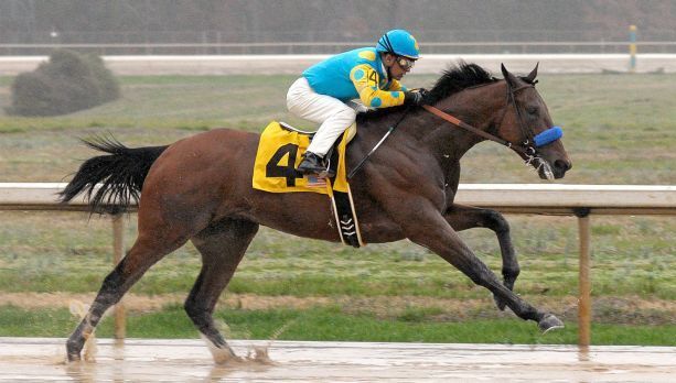 Un cal concurează, alături de Djokovic şi Messi, la titlul de "Cel mai bun sportiv al planetei"