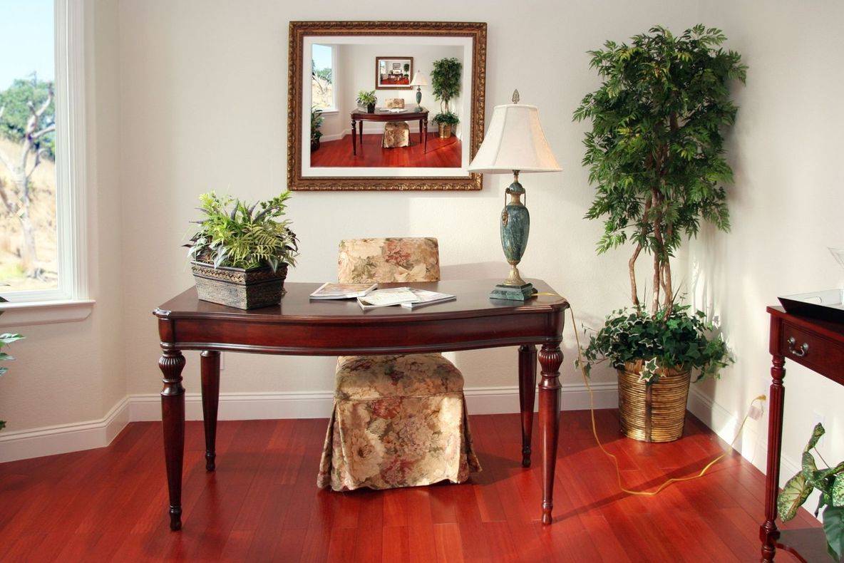 Care sunt plantele care nu se țin în casă