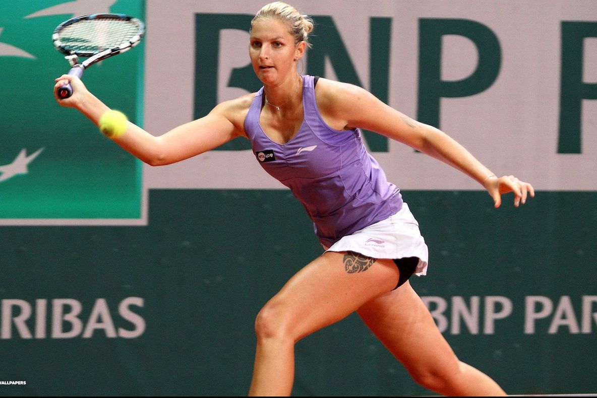 Cehia a învins Rusia în finala Fed Cup